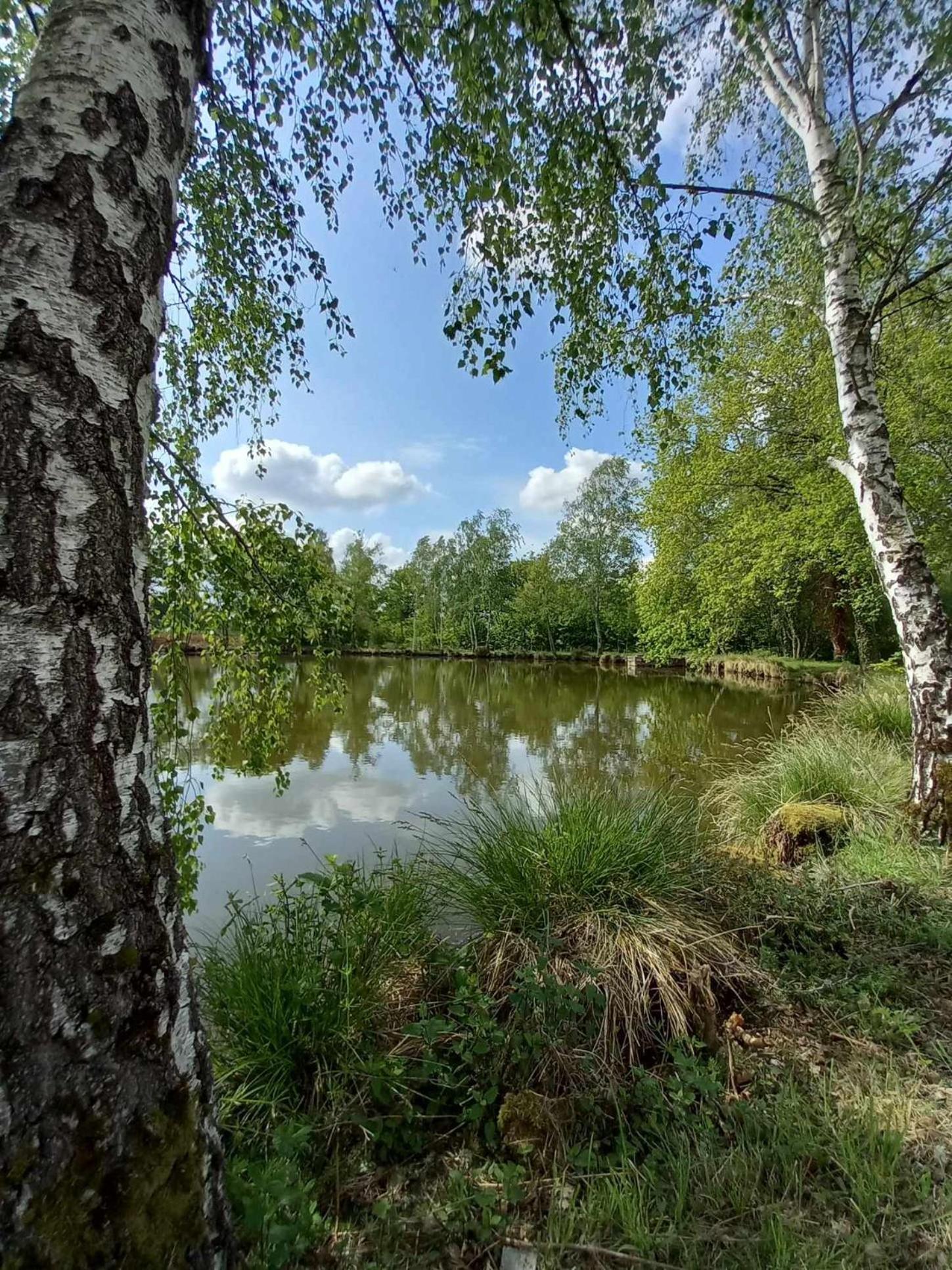 Le Chalet Limousin Folles Εξωτερικό φωτογραφία